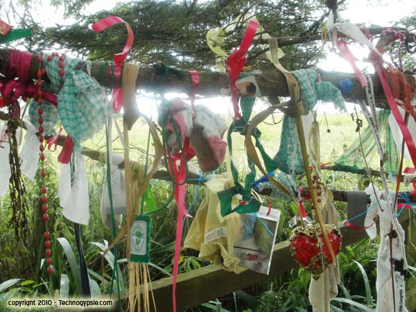 Rag Trees and Money Trees – The Naiads Well